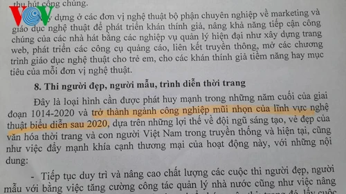Dự thảo Quy hoạch tổng thể phát triển nghệ thuật biểu diễn đến năm 2020 (Ảnh: FB)